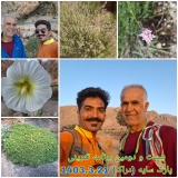 برنامه تمرین سنگنوردی دراک در تاریخ 21 خرداد ماه 1403