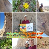 برنامه تمرین سنگنوردی پارک سایه در تاریخ 3 بهمن 1402