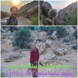 برنامه تمرین سنگنوردی دراک در تاریخ 28 خردادماه 1403