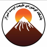 چرا افرادی که ورزش طولانی مدت را تحمل می کنند مضرات زیادی در بدن تجربه میکنند؟