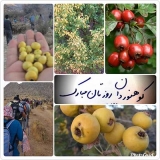 برنامه روز کوهنورد (چشمه چنار مهارلو ) جمعه 10 آبان ماه   به دعوت هیات کوهنوردی استان فارس