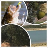 برنامه جنگل چشمه  98/6/15