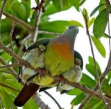 تنگ فراشبندی یک روزه 91/6/31